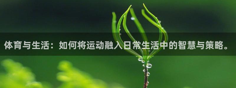 海南oety欧亿体育官网下载发展怎么样:体育与生活:如何将运