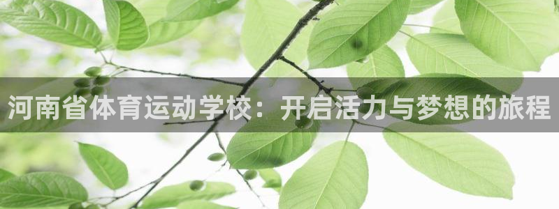 欧亿体育官方平台体育:河南省体育运动学校:开启活力与梦想的旅